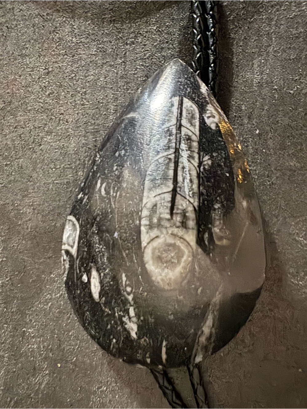Black and White Fossil Stone Bolo Tie